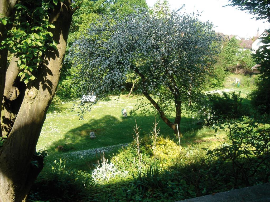 Hotel B&B Bredl In Der Villa Ballestrem Straubing Camera foto